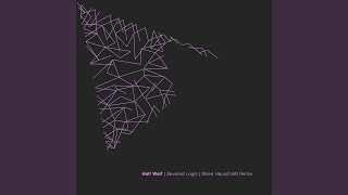 Severed Logic (Steve Hauschildt Remix)