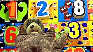 Learn Numbers with Tree Bear! Crazy Counting Mix-U