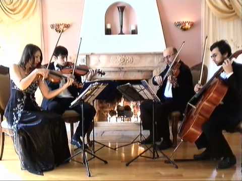 Promotional video thumbnail 5 for Bravo String Quartet / Bravo Music
