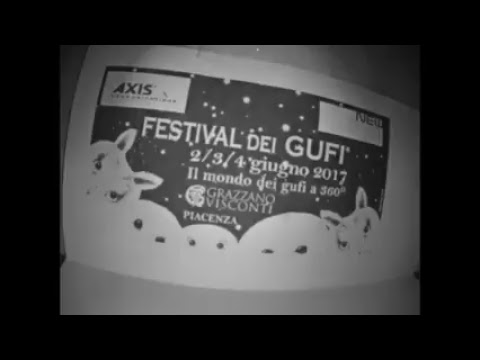 Newside Hitech Live Stream_2