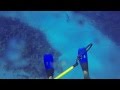 Shark Attack 3-13-2014 in the CAYMAN ISLANDS ...