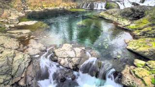 Chief Seattle's 1854 Oration