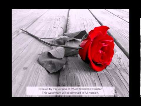 Dj Or Pilo-Rose B-Day Set 2013