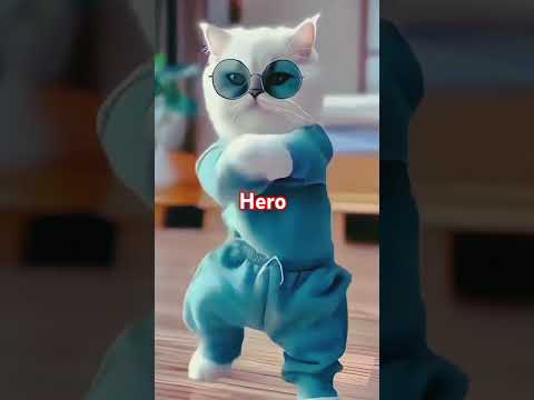 Cat dance super hero #bollywood #movie #song #denzer #dance #priyankakarki #dushmanherekohrai#vairal