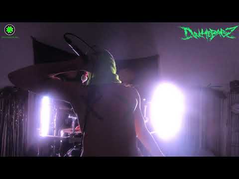 Douchebagz  THE DICKERY - High Gain Audio Live