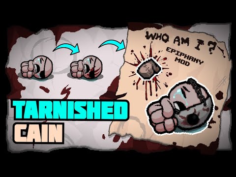 TARNISHED CAIN? Insanely Unique Master of Enemy Control! - Epiphany Mod Showcase