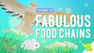 Fabulous Food Chains: Crash Course Kids #7.1