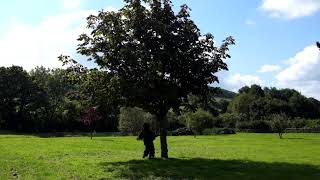 SNAPPED ANKLES // Tuning Trees #1 (Horse Chestnut)