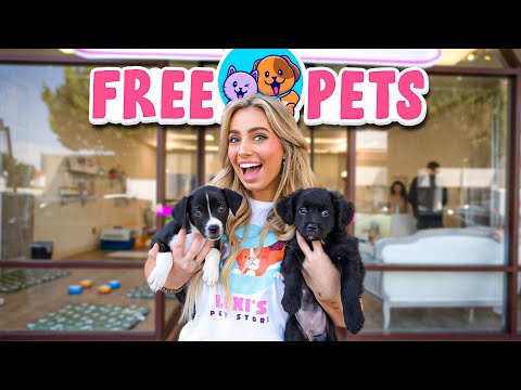 I OPENED A FREE PET STORE