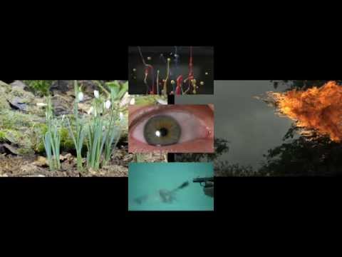 M!R!M - Flowers In Bloom