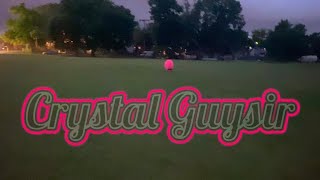 TRADER JOE (by Junglepussy) Interpretation by Crystal Guysir