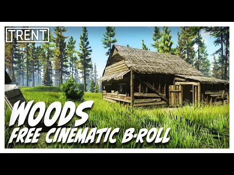 Escape From Tarkov Woods: Cinematic B-roll Footage | Free Download for Content Creators