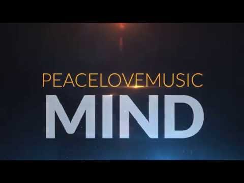 PeaceLovemusic - Mind