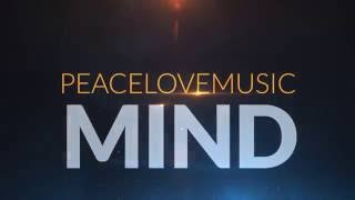 PeaceLovemusic - Mind