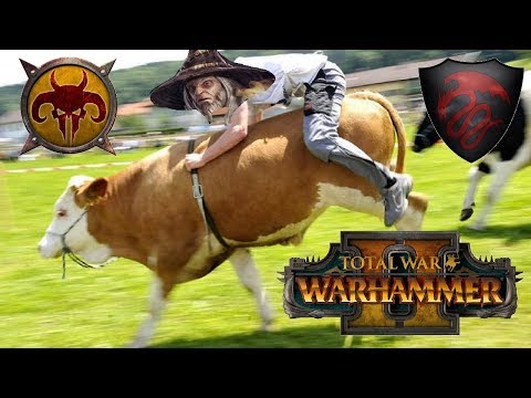Beastmen & Vampire Counts | ANGRY COWS & KRELL - Total War Warhammer 2