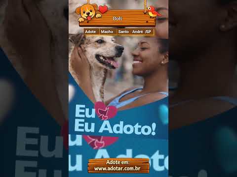 Vídeo de Bolt