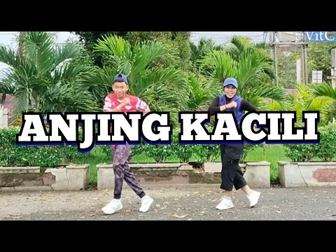 ANJING KACILI  by TIAN STORM || SENAM KREASI || DANCE