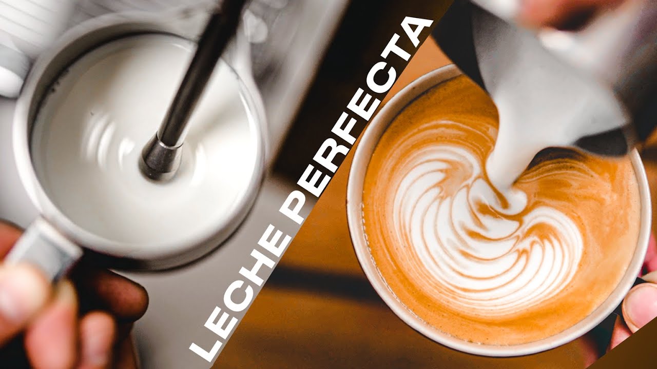 VAPORIZAR LECHE: TEXTURA PERFECTA para LATTE ART