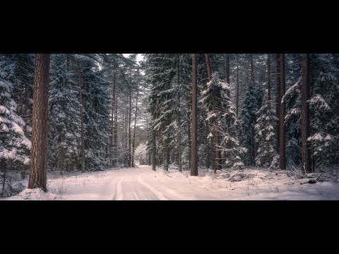 kittyangel x Flchan - Say It right | Hardwave