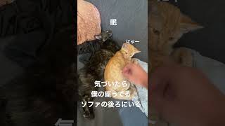気付いたら背後をとられているデューク東郷なら許さない