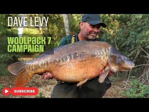 Dave Levy | Woolpack 7 Campaign
