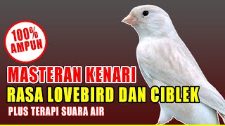 Download lagu MASTERAN KENARI ISIAN LOVE BIRD DAN CIBLEK SUARA JERNIH COCOK UNTUK KENARI PAUD ATAU KENARI ANAKAN mp3 Download lagu MASTERAN KENARI ISIAN LOVE BIRD DAN CIBLEK SUARA JERNIH COCOK UNTUK KENARI PAUD ATAU KENARI ANAKAN mp3