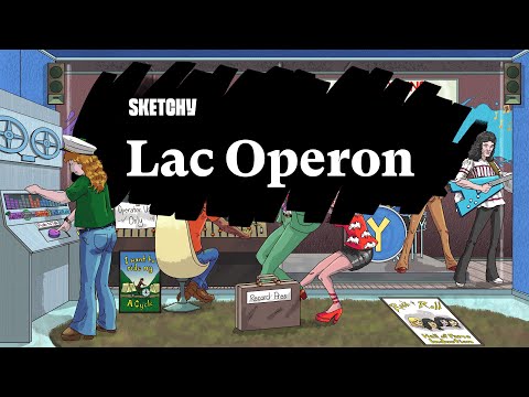 Lac Operon - Metabolism and Gene Expression (Part 1) | Sketchy Medical | USMLE Step 1