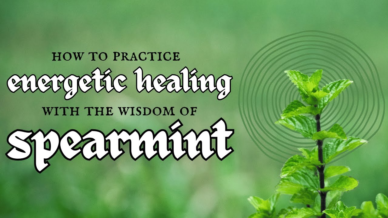 Energetic Healing with Plant Spirits | The Wisdom of Spearmint