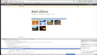 Custom CSS in NextGEN Gallery