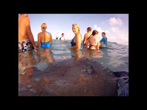 Stingray kiss