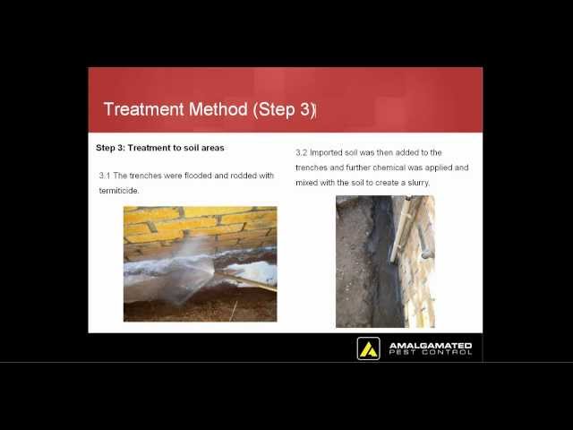 Amalgamated Pest Control - Arcadia, QLD