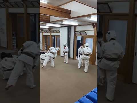 捌きありのライトスパー