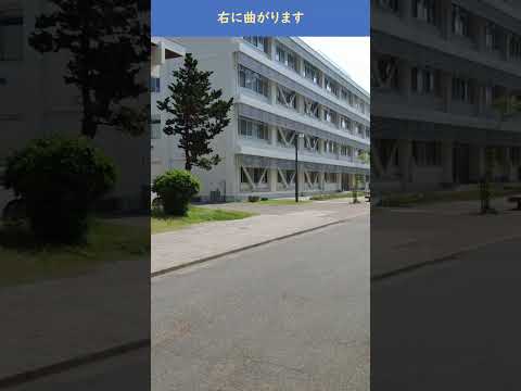 正門から北校舎講義棟（Ｎ）まで #shorts
