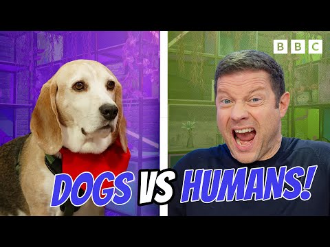 Who’s TOP DOG? Epic Challenges!