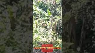 Download lagu Resiko pernah tau LATTO LATTO,scene telucu geguyu Channel,lucu ngakak parah ๐๐๐|| BUKAN WOKO CHANNEL mp3 Download lagu Resiko pernah tau LATTO LATTO,scene telucu geguyu Channel,lucu ngakak parah ๐๐๐|| BUKAN WOKO CHANNEL mp3