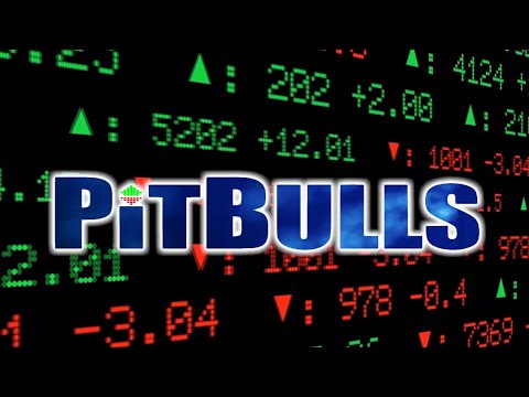 DGA Overviews: PITBULLS (Sponsored Kickstarter Preview)