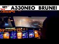 Piloting Airbus A330NEO Into Brunei Cockpit Views