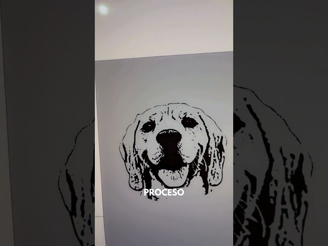 Vídeo relacionado con Llavero Personalizado con Foto - Diseña la Forma del Llavero Según la Persona/Animal de la Foto - para Hombres, Mujeres, Regalos de Novio - 5x5cm