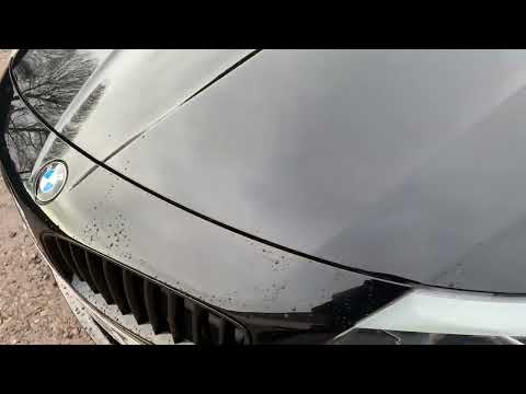 BMW Z4 2.5 S Drive walk round Video