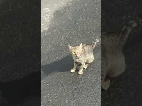 Whats going on Zeena