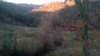 Love na lisicu sa barakom