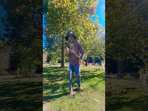 Large Scarecrow Near the Lake #halloween #Scarecrow