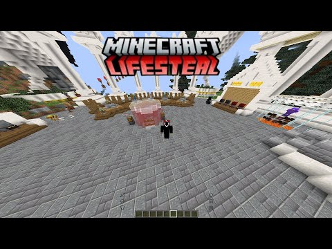 Unstoppable Killerboy dominates on Lifesteal SMP!