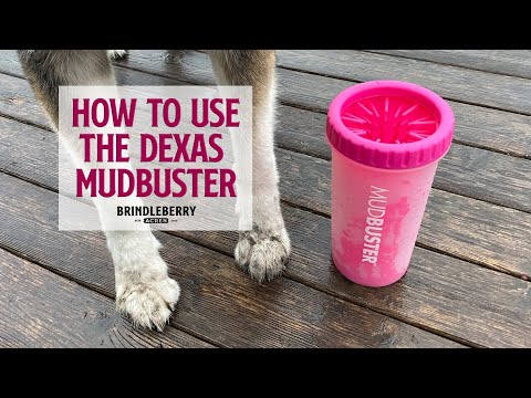 How To Use the Dexas MudBuster