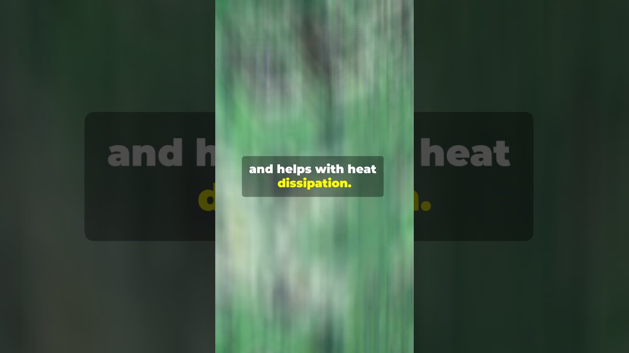 Green or Black? The Hidden Meanings Behind PCB Colors #electronicenginner #pcb