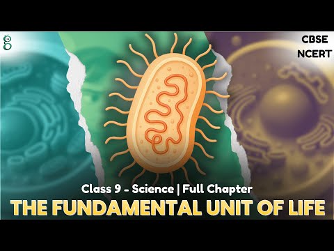 The Fundamental Unit of Life – Class 9 Science video
