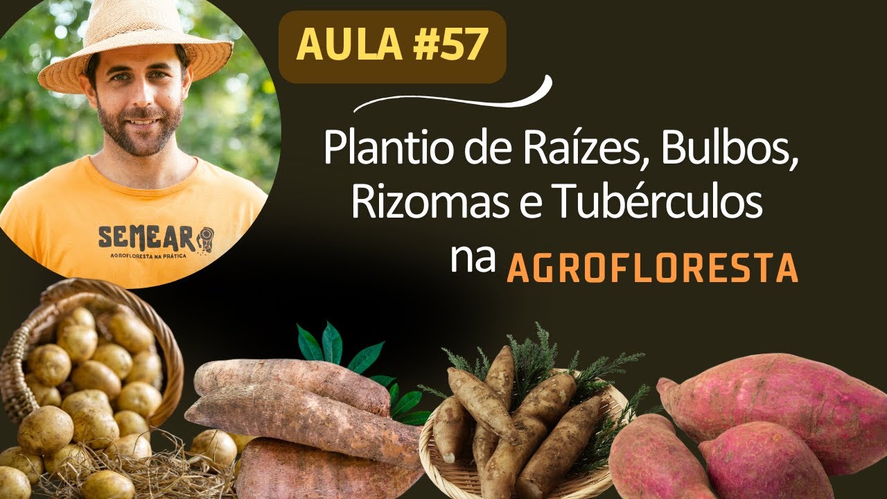 Plantio de Raízes, Bulbos, Rizomas e Tubérculos na Agrofloresta Aula #57