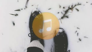 ♪ Ra Ra Riot - Absolutely (Dim Sum Remix)