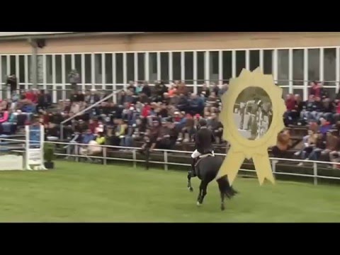 Záznam 3. kola ČSP 2016 – Velká cena Ostravy