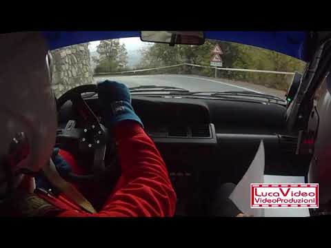 Cameracar Rally del Piemonte 2017 Destefanis-Prato Clio W N3 - PS4